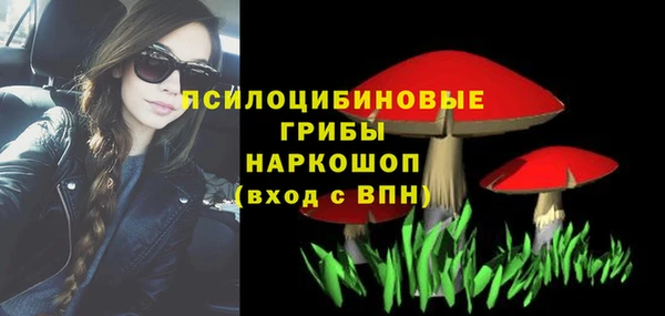 шишки Пролетарск