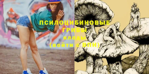хмурый Приозерск