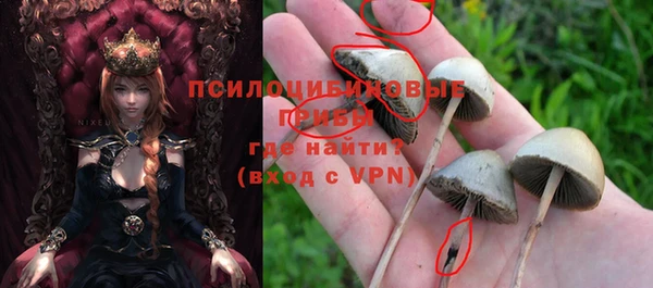 синтетический гашиш Бородино